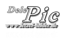 DelePic logo